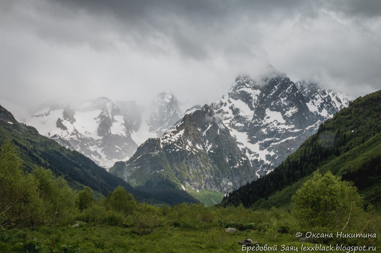 Ущелье гоначхир начинается у клухорского перевала, куда можно попасть, пройдя через шлагбаум. Bredovyj Zayac Ushele Gonachhir I Forelevoe Ozero Tumanly Kyol Kchr