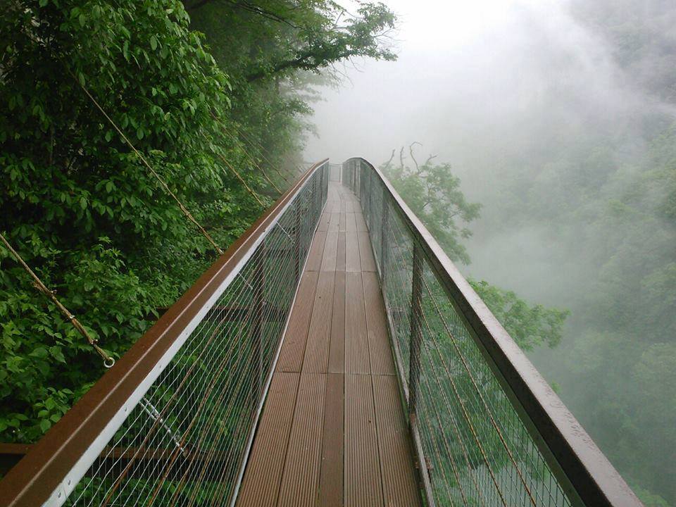 Которая дарит великолепные возможности для отдыха как летом, так и зимой. Foto Dnya Kanon Okace Friend In Georgia