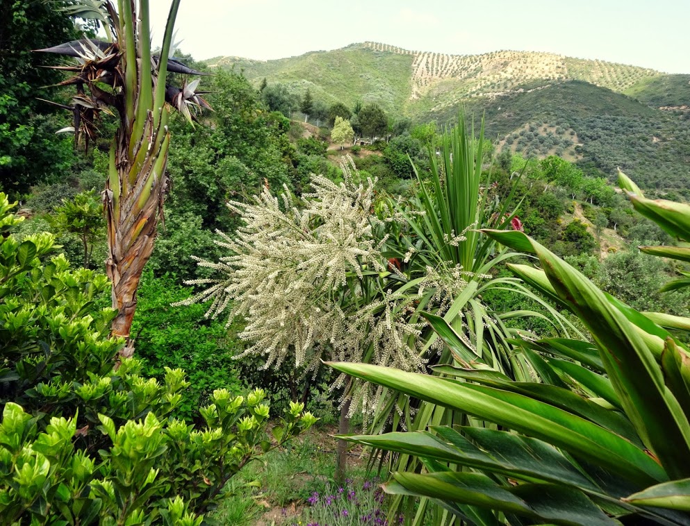 Обращаем внимание на необходимость неукоснительного соблюдения правил посещения ботанического сада как во время экскурсий, так и в ходе свободного посещения. Putevye Zametki Damy Srednego Vozrasta Botanical Park Garden Crete