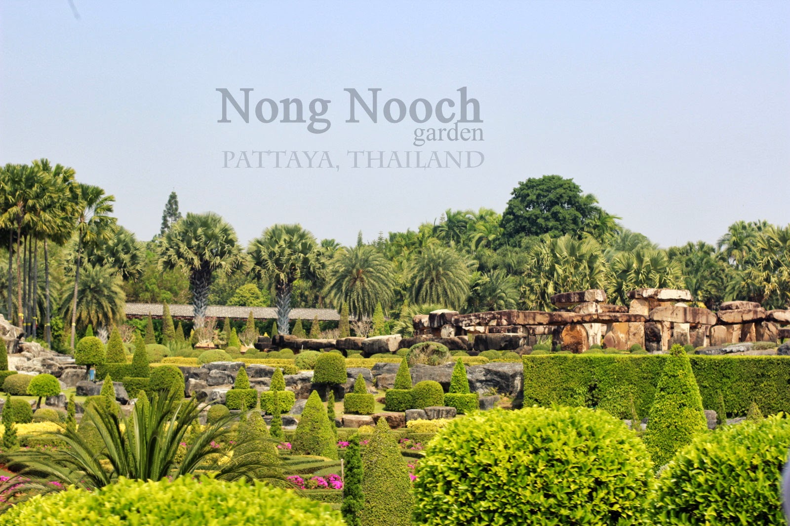 Посещая ботанические сады (не только наш, но любой сад),. Blog Tani Shabuni Tropicheskij Sad Nong Nuch V Tailande