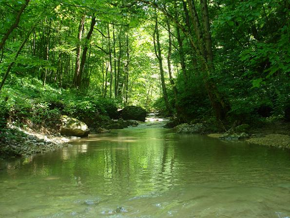 Река и ущелье называется мишоко, но часто их называют мешоко. Adygturs Ushele Reki Meshoko