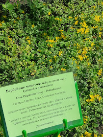 От других станций метро маршрут может занять от 30 минут до часа. Geografochka Avtorskij Blog Lilii Pavlovny Kazancevoj Gornyj Altaj 2019 Chast 3 Altajskij Botanicheskij Sad Nacionalnyj Muzej Im A V Anohina Kanatno Kreselnaya Doroga I Zolotaya Baba