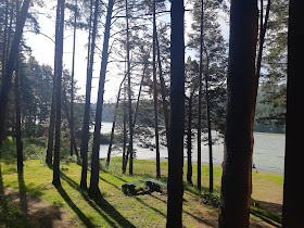 JPG Статьи и 1 099 фотографий ботанический сад петра великого бин ран,. Geografochka Avtorskij Blog Lilii Pavlovny Kazancevoj Gornyj Altaj 2019 Chast 3 Altajskij Botanicheskij Sad Nacionalnyj Muzej Im A V Anohina Kanatno Kreselnaya Doroga I Zolotaya Baba