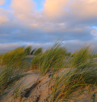 График экскурсий по приморью на зиму 2021/2022. Ekskursii Po Gorodu Kosmos Primorskij Kraj