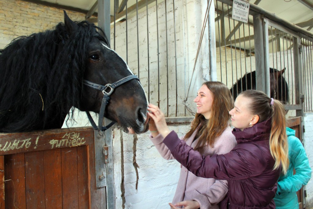 17+ Экскурсия По Конюшне&nbsp;Фото