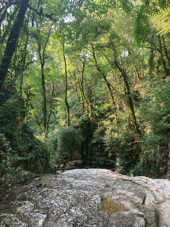 Лучших Дзыхринский Водопад Как Добраться&nbsp;Отзывы