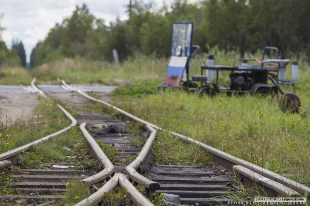 38+ Экскурсия На Узкоколейке&nbsp;Фото