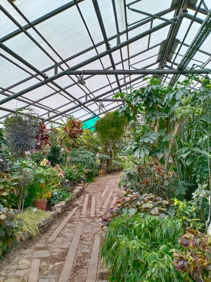 Рекламные Экскурсия В Ботанический Сад Новосибирск&nbsp;Фото