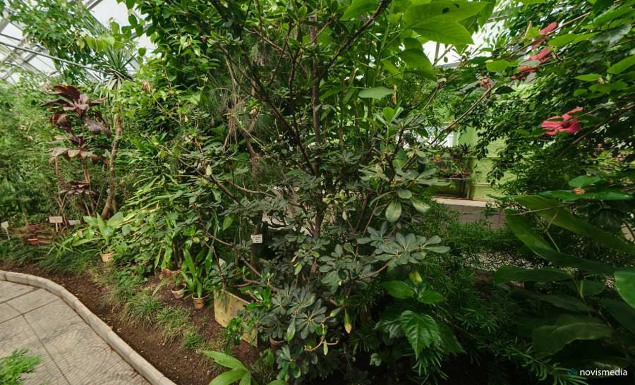 26+ Экскурсия В Ботанический Сад Кировск&nbsp;Отзывы