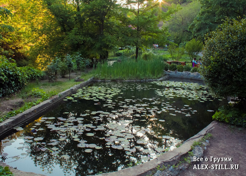 32+ В Ботаническом Саду&nbsp;Фотографий