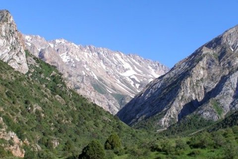 Лучших Туры В Горы Шымкент&nbsp;Отзывы