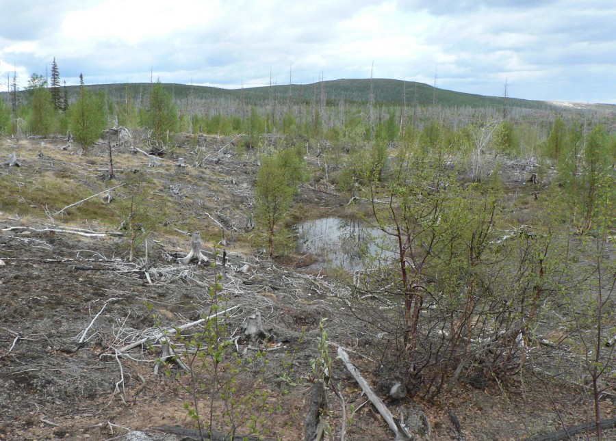 19+ Водопад Вайкис Маршрут&nbsp;Фото