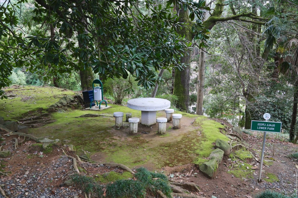 Инфо Абонемент В Ботанический Сад&nbsp;Отзывы