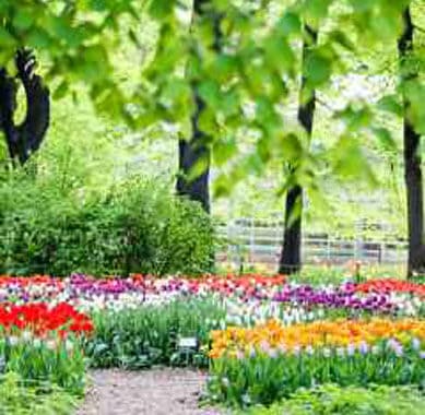 33+ Сочинение Экскурсия В Ботанический Сад Картинки