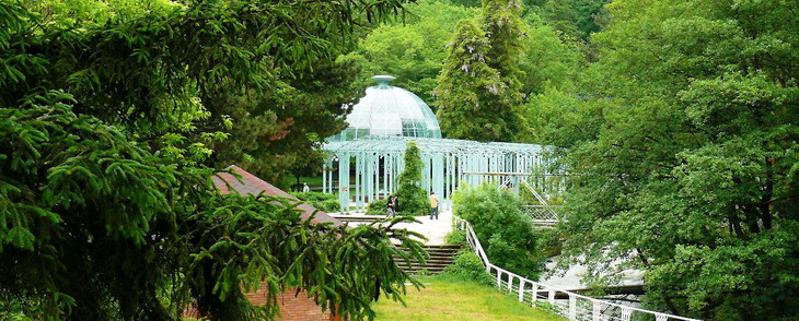 50+ Горящие Туры В Боржоми&nbsp;Отзывы