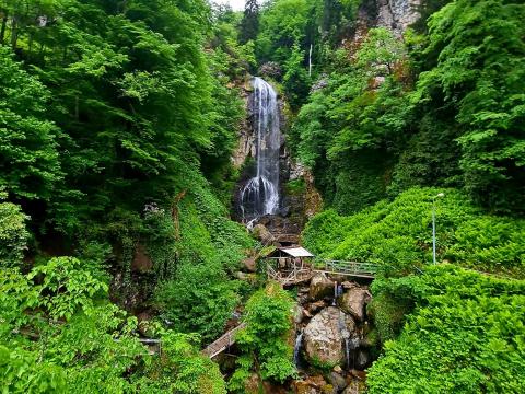 Лучших Туры В Батуми Из Санкт-Петербурга Отзывы