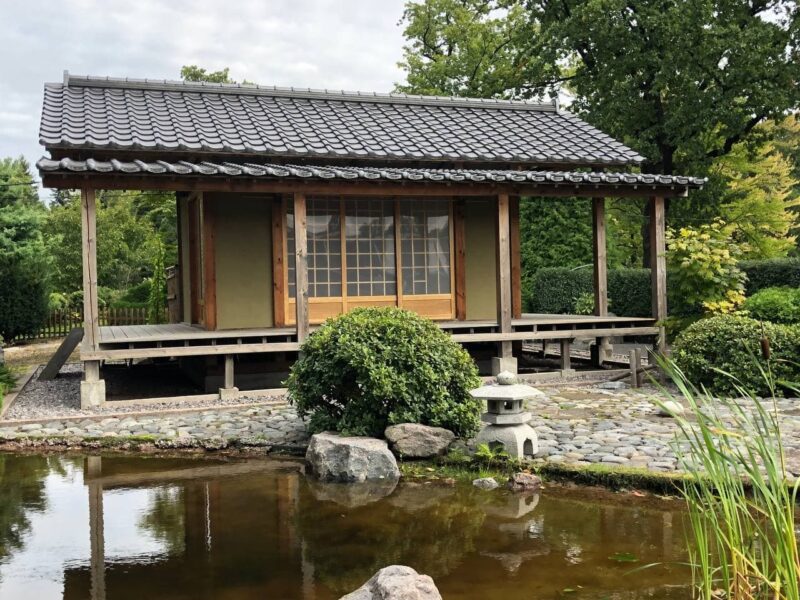 24+ Где Находится Ботанический Сад В Санкт-Петербурге Фото