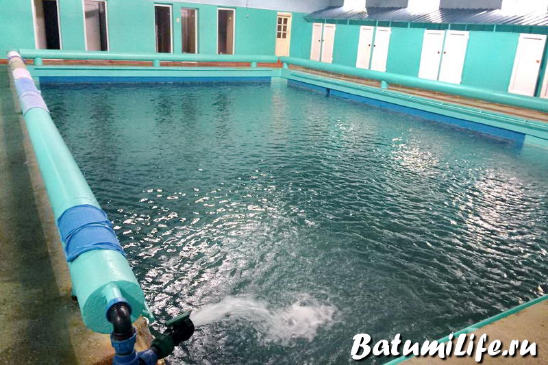 Лучших Боржоми Экскурсии&nbsp;Фото