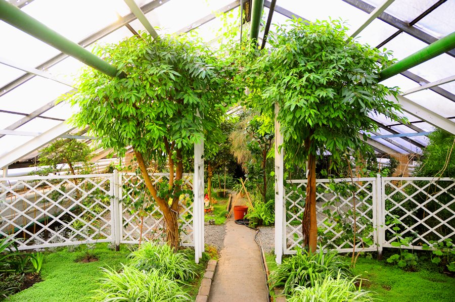 Инфо На Экскурсию В Ботанический Сад&nbsp;Фотографий