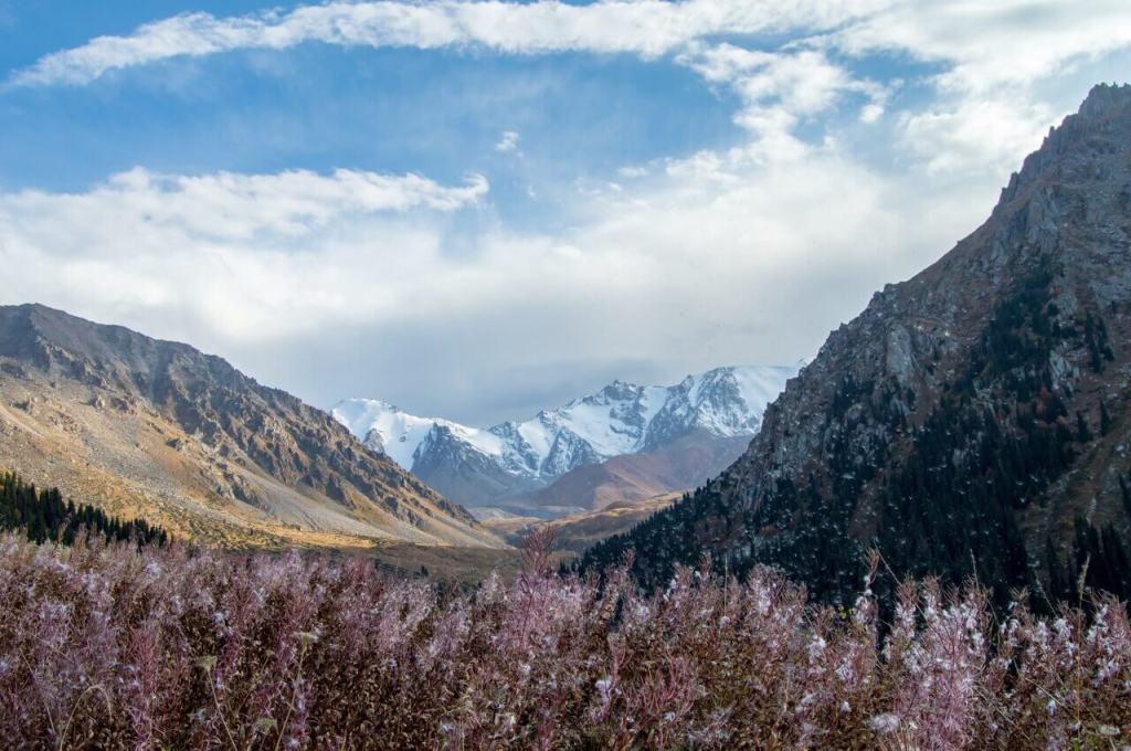 24+ Туры В Горы Алматы цены и отзывы&nbsp;2022