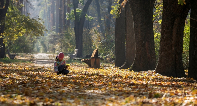 Лучших Ботанический Сад Цена&nbsp;Картинки
