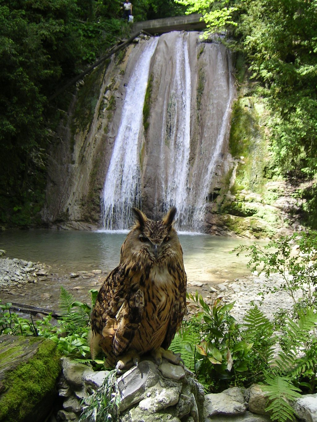 42+ Экскурсия На Водопады&nbsp;Фотографий