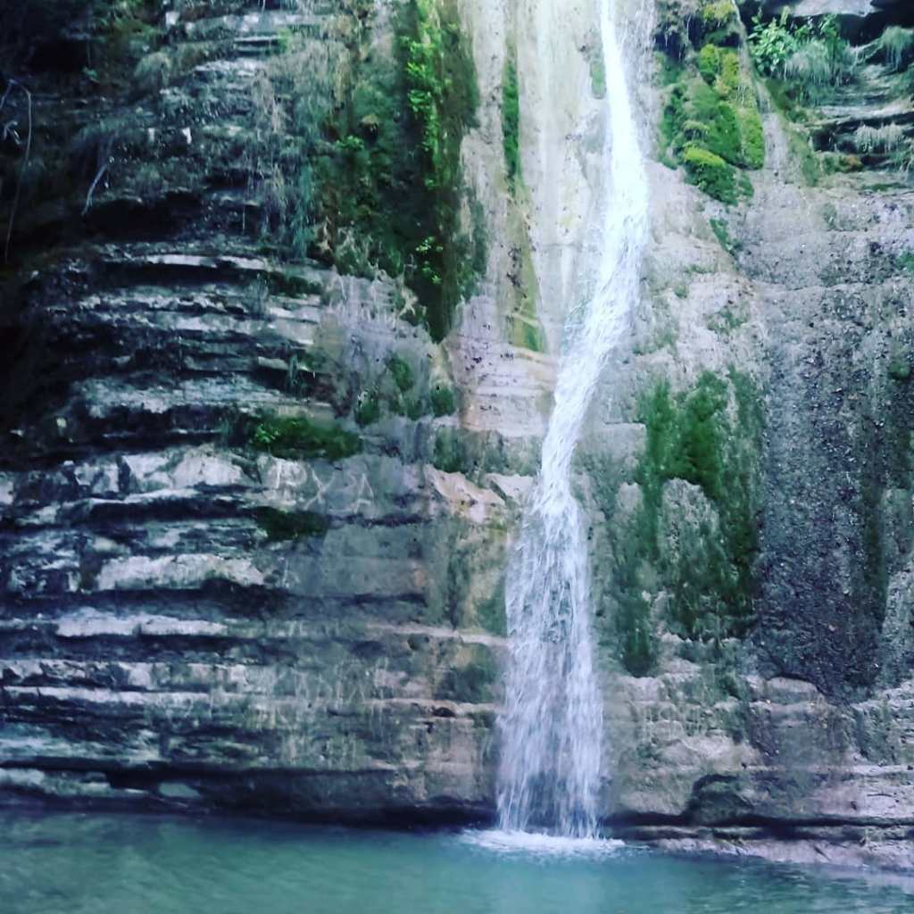 13+ Экскурсия Геленджик Абхазия&nbsp;Картинки