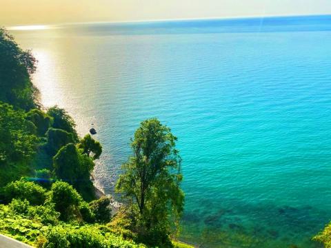 Рекламные Батуми Экскурсии Отзывы&nbsp;Отзывы