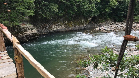 Рекламные Туры В Батуми Из Минеральных Вод&nbsp;Отзывы