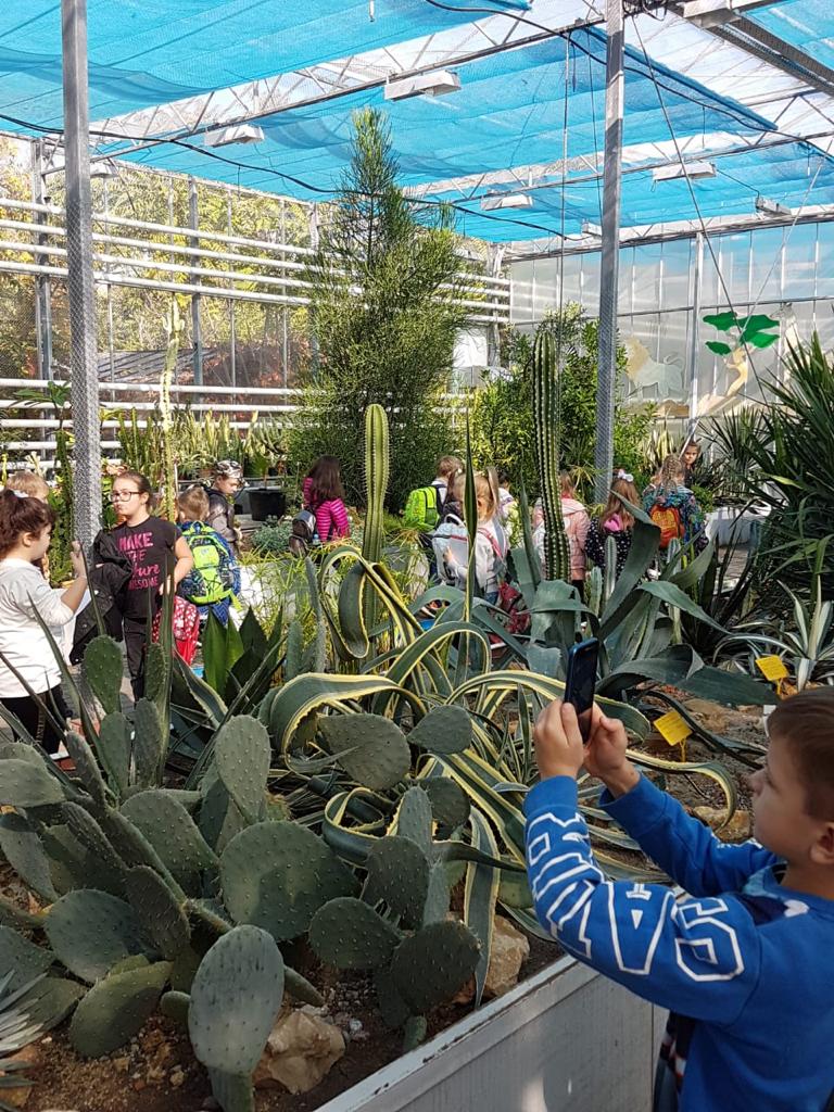 40+ Ботанический Сад Экскурсии&nbsp;Фото