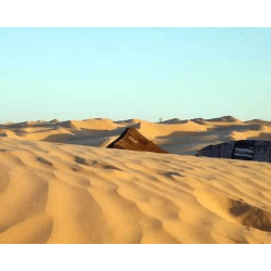 12+ Экскурсия В Пустыню цены и отзывы&nbsp;2022