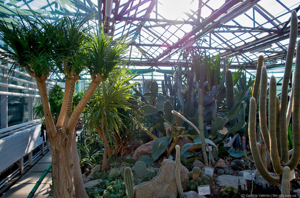 30+ Ботанический Сад Киев Екскурсія Цены&nbsp;2022