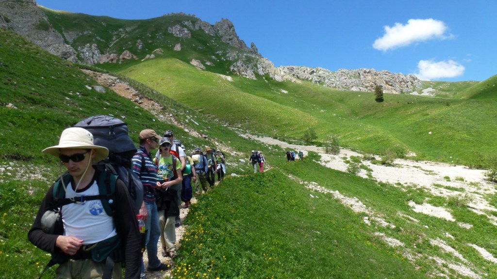 Эксклюзивные Туры В Горы Краснодарского Края&nbsp;Отзывы