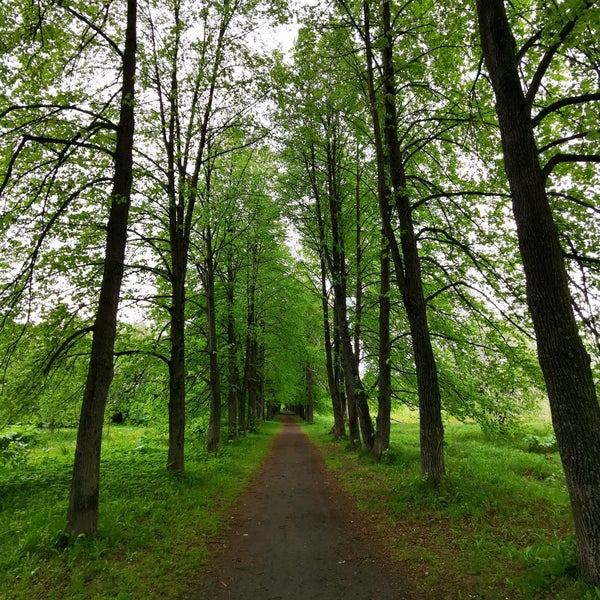Рекламные Ботанический Сад Томск Экскурсии&nbsp;Картинки