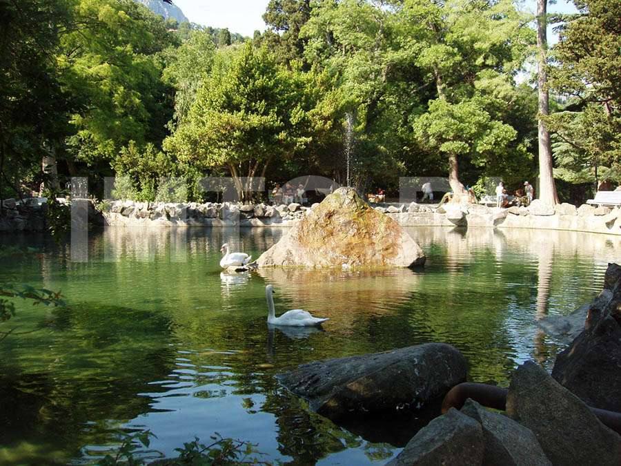 Инфо Никитский Ботанический Сад Онлайн Экскурсия цены и отзывы&nbsp;2022