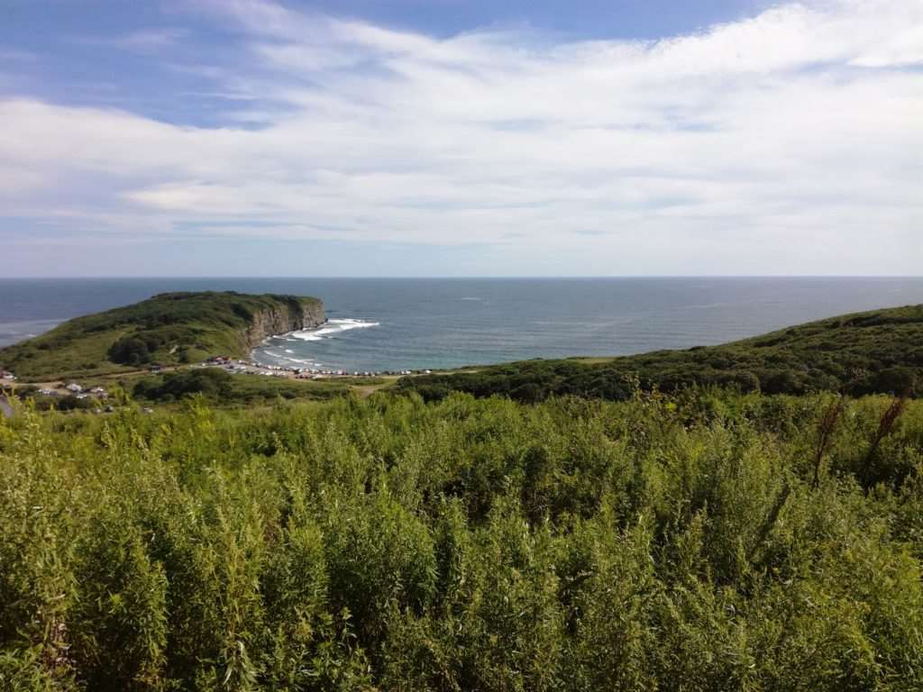 Лучших Туры В Приморский Край Картинки