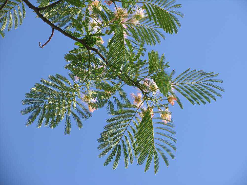 40+ Экскурсия Кавказ Джубга Отзывы&nbsp;Фотографий