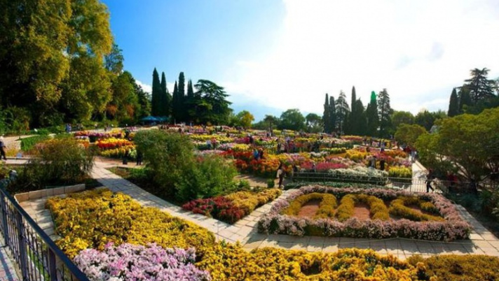 27+ Ботанический Сад Онлайн Экскурсия цены и отзывы&nbsp;2022