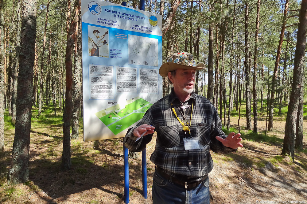 Эксклюзивные Фрингилла Экскурсия&nbsp;Картинки