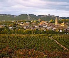 43+ Туры Грузию&nbsp;Фото