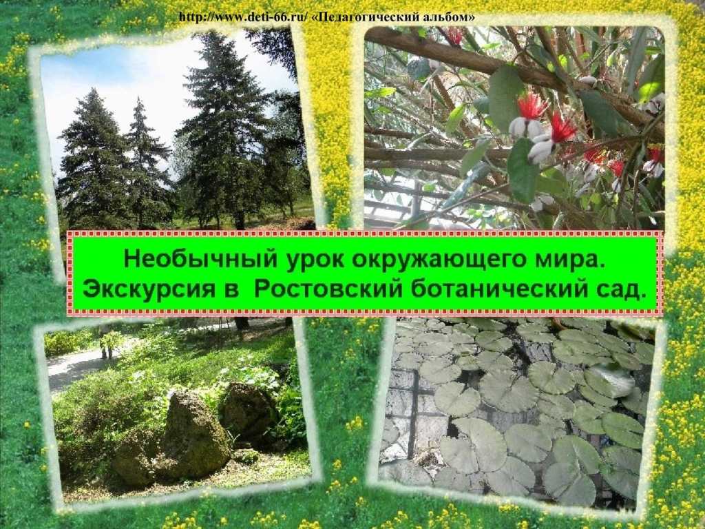 26+ Экскурсия В Ботанический Сад цены и отзывы&nbsp;2022