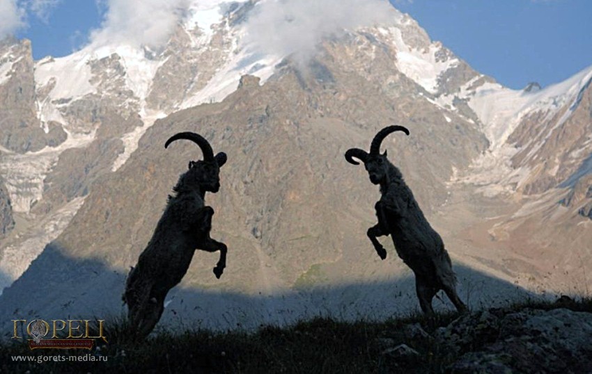 40+ Туры В Горах&nbsp;Картинки