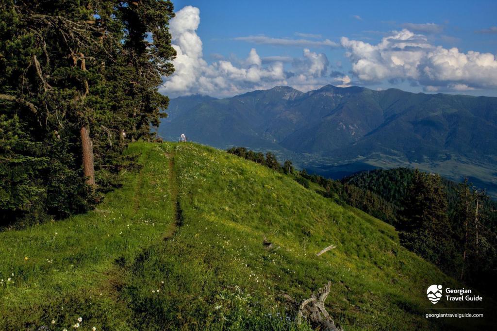 Инфо Тур В Тбилиси Из Запорожья цены и отзывы&nbsp;2022