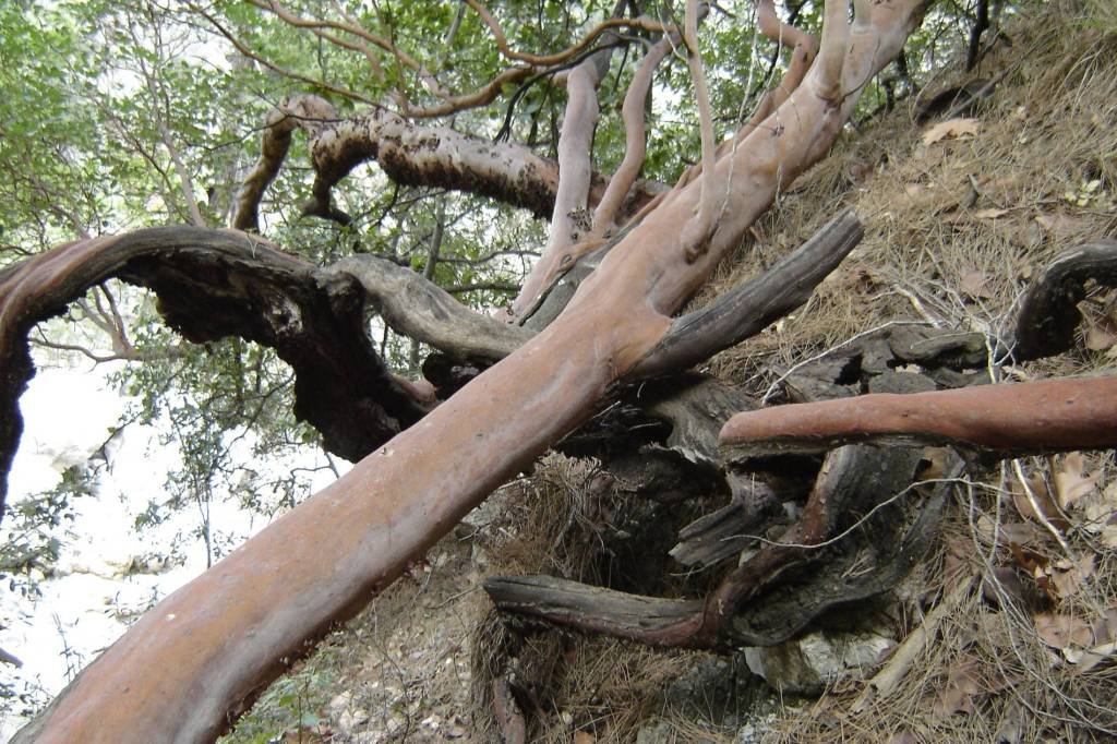 41+ Экскурсия В Каньон Гейнюк Цена&nbsp;Отзывы